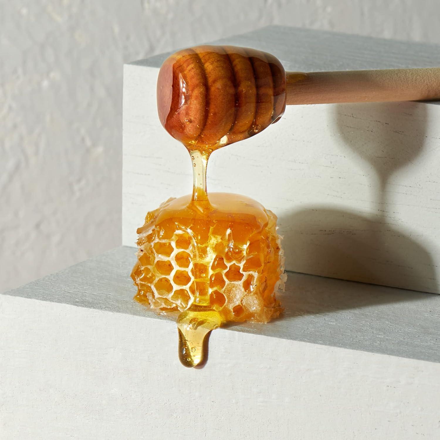 Lovebird Lovebird Gluten & Grain Free Cereal Variety 6 Pack - Organic AIP Food, Paleo Dairy Free, No Refined Sugar Breakfast Cereals | Healthy Snacks for Kids, Adults - Cacao, Honey, Cinnamon, Unsweetened