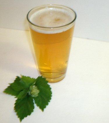 Hop Hero 1 Gallon Beer Recipe (Frat House Lager)