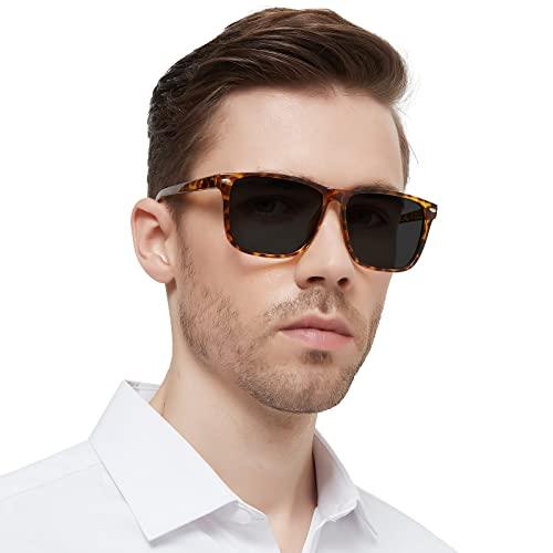 WEMOOTANTS WEMOOTANTS Reader Sunglasses Men UV400 Protection And Blue Light Blocking Sun Reading Glasses 1.0 1.25 1.5 1.75 2.0 2.25 2.5 2.75 3.0 3.5 4.0 Outdoor Readers (Clear 2.00)