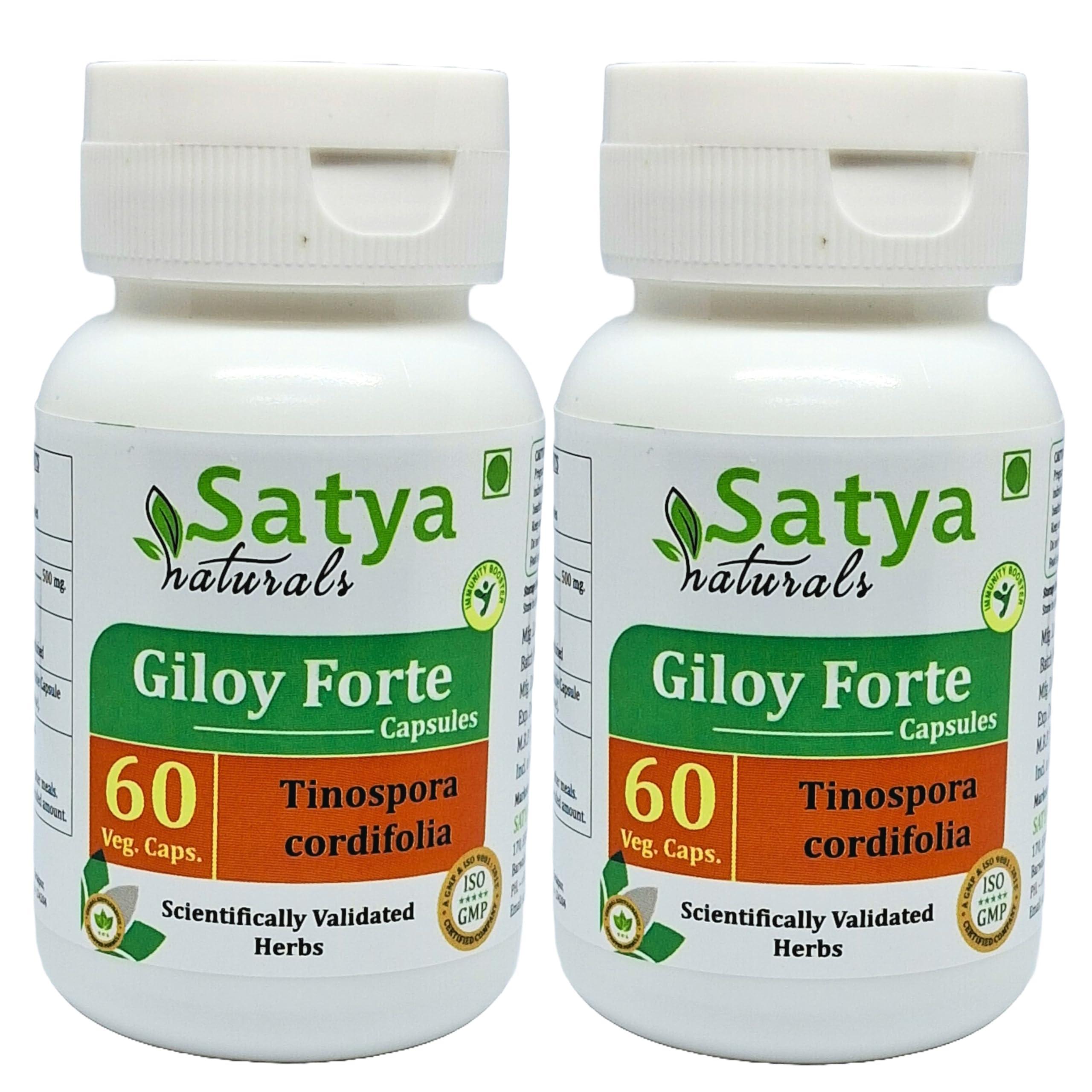 Satya Naturals Giloy Forte Capsules 500 mg. 60 Veg. Capsule | Guduchi (Tinospora Cordifolia) Extract Capsules for Men and women | Indian Ayurvedic Herbal Supplement/Remedies (2 Bottles of 60 Capsules)
