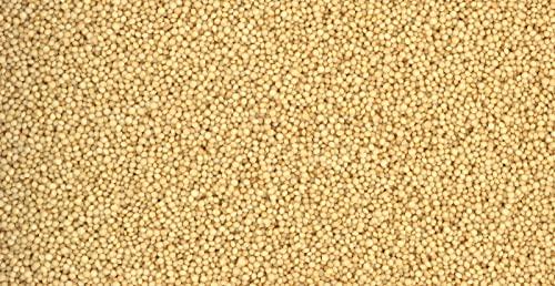 PRIMAL HARVEST Organic Whole Grain 100% Natural Amaranth Seeds non-GMO RAW (6 LB)
