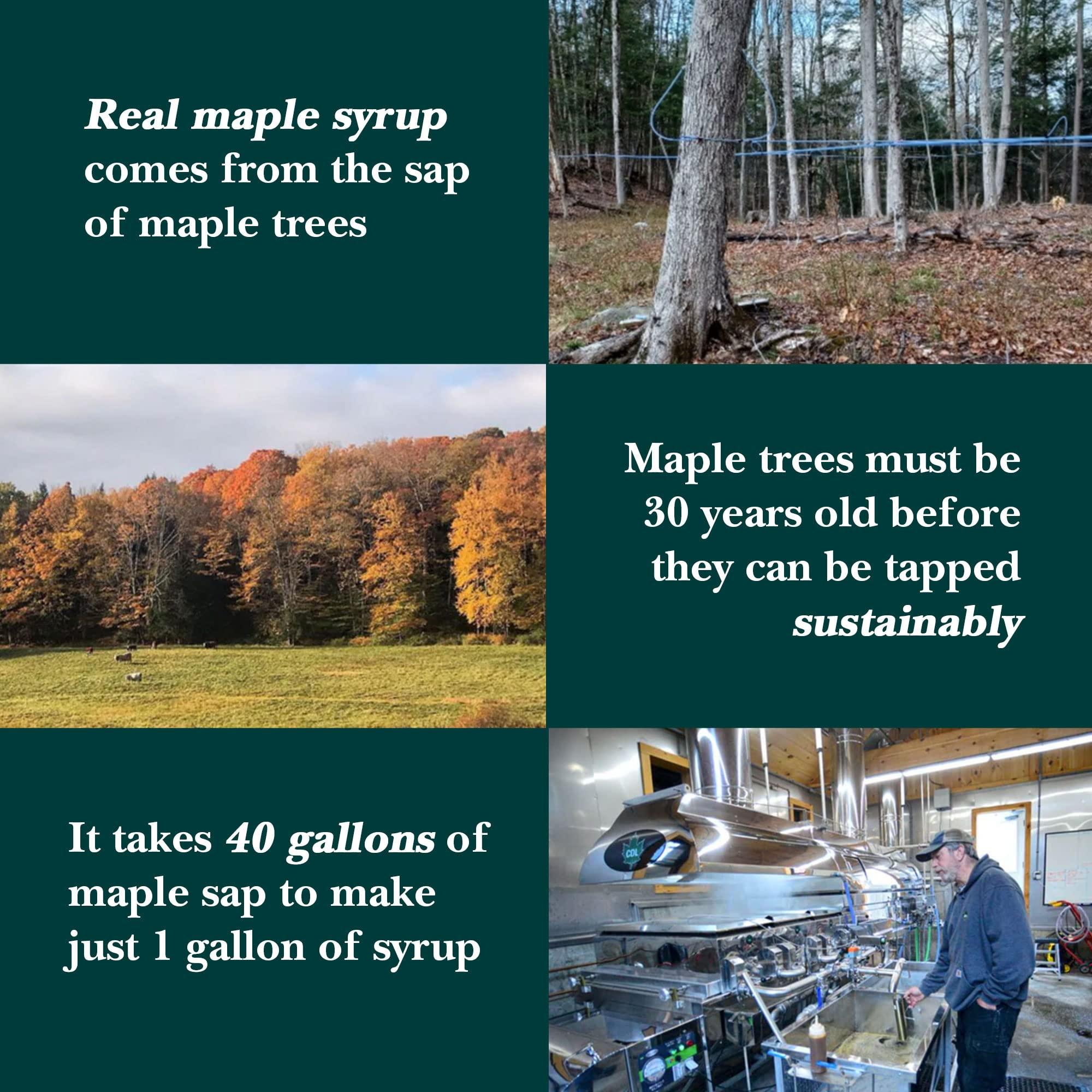 Vermont Maple Syrup Vermont Maple Syrup - 64 oz Grade A, Dark Robust Organic Maple Syrup - 100% Pure and Authentic Maple Syrup for Pancakes, Waffles and More - Nut free, Gluten Free, Vegan, Paleo