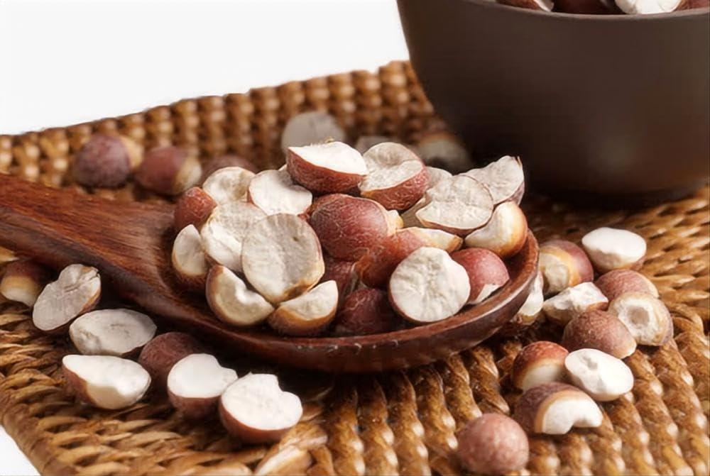 Bestliving Bestliving Fox nut - Dried Makhana Euryale Ferox from 100% Nature 1lb/16Ounces/454g Gorgon Fruit ?? Order Packages by Mail from USA