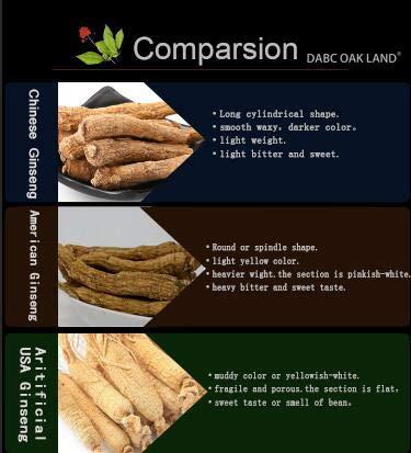 DABC OAK LAND DABC OAK LAND DOL Hand Selected Cultivated Wisconsin American Ginseng Pearl Ginseng / - in Box. (Small 4oz/Box)