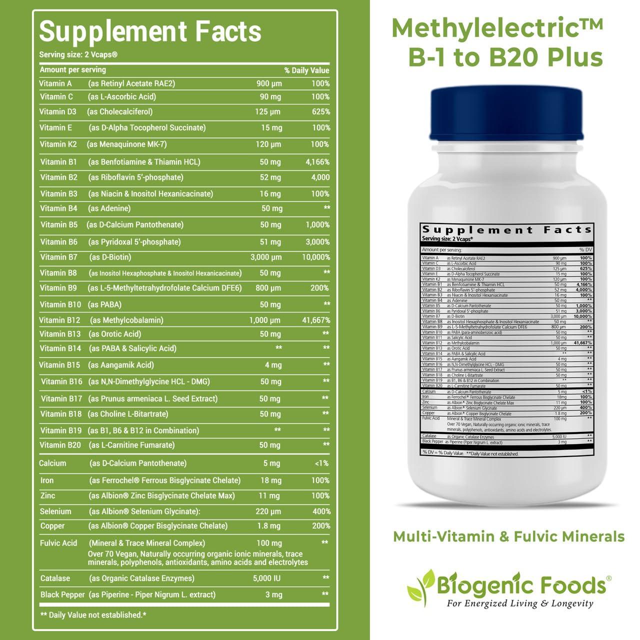 Biogenic Foods Methylectric B-50 Complex - Methylated B1 - B20 Multi-Vitamin and Fulvic Minerals, Veggie Caps