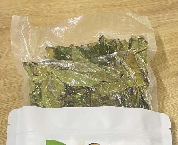 biosavory BioSavoryUS - ORGANIC SOURSOP LEAVES (300 leaves approx. per Bag) for TEA, 4.5oz