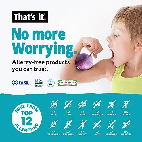 That's it. That's it. Apple + Blueberry 100% Natural Real Fruit Bar, Best High Fiber Vegan, Gluten Free Healthy Snack, Paleo for Children & Adults, Non GMO No Sugar Added, No Preservatives Energy Food (12 Pack)