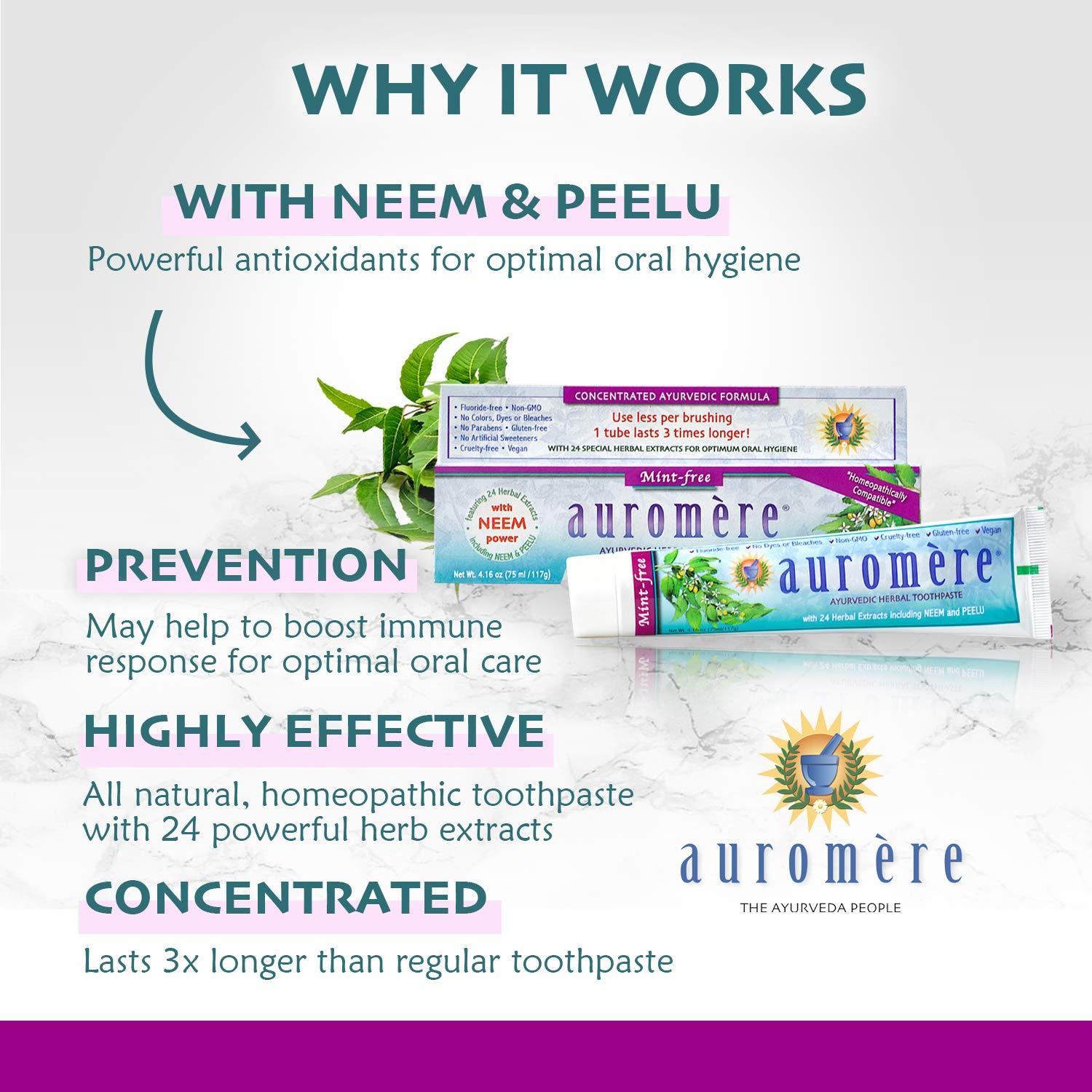 Auromere Auromere Ayurvedic Herbal Toothpaste, Mint Free - Vegan, Natural, Non GMO, Fluoride Free, Gluten Free, with Neem & Peelu (4.16 oz), 1 Pack