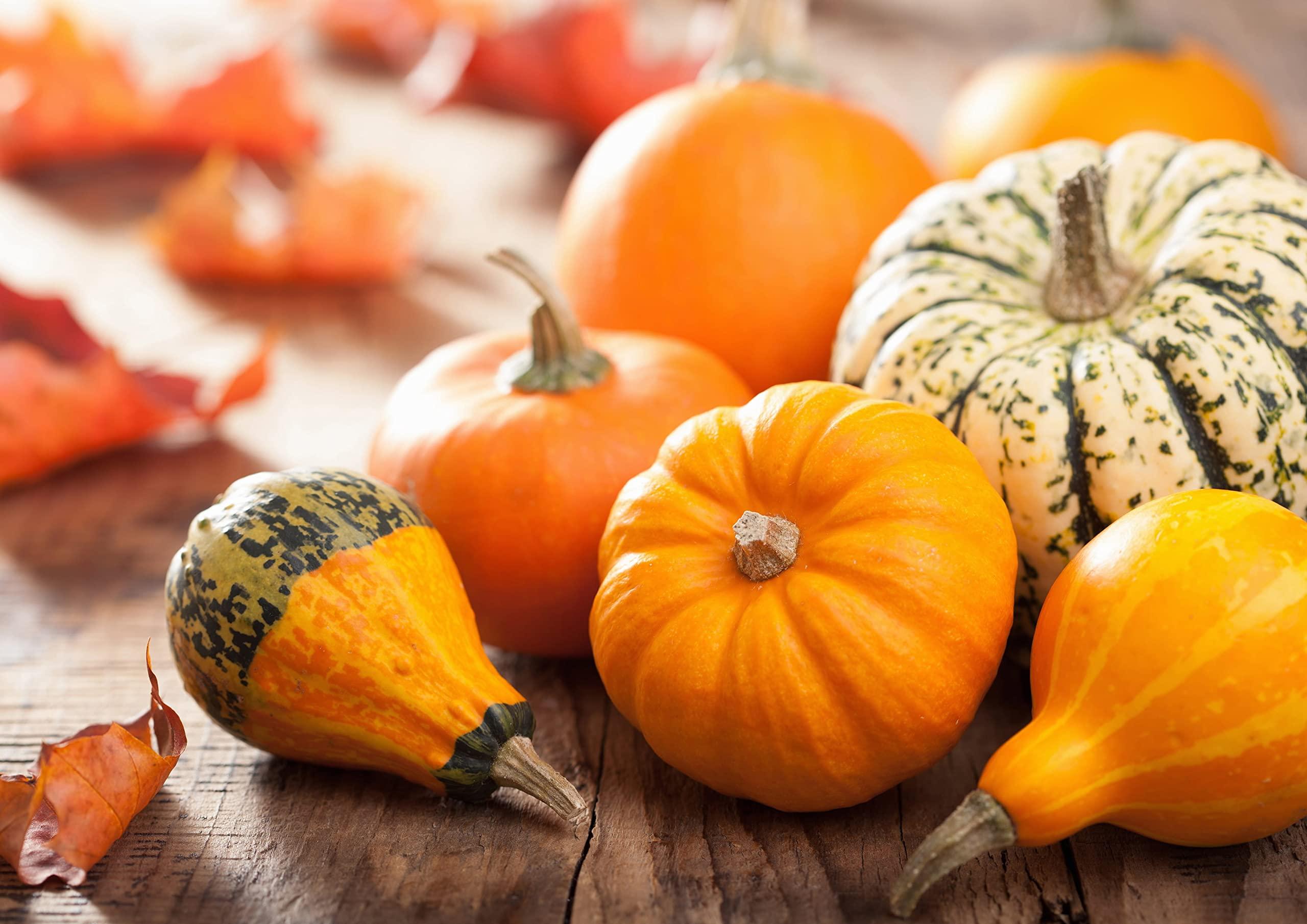 Food to Live Food to Live Organic Raw Pumpkin Seeds in Shell, 1 Pound Non-GMO, Dried, Unsalted, Unroasted, Vegan, Bulk. Good Source of Protein, Fiber, Omega Fats. Great for Roasting with Homemade Seasonings