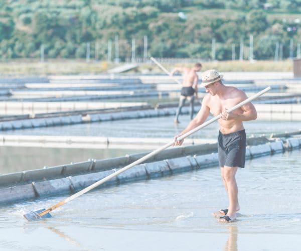 82 MInerals Sea Salt Celtic Salt 82 Minerals Sea Salt French Celtic Insprired Artisanal Glass Jar with Shaker Lid Hand Harvested Sea Salt XL Coarse Grain NC Small Business Organic Vegan Kosher Paleo Low Sodium from the Celtic Sea