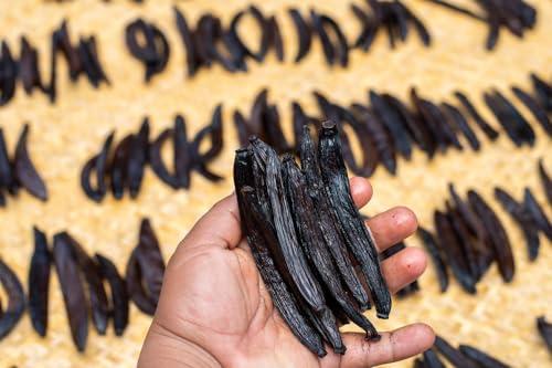 Vanilla Bean Kings 1 oz Guatemalan Vanilla Beans Whole Grade A Vanilla Pods for Homemade Vanilla Extract, Baking, Ice Cream, Flavoring, & Vanilla Powder