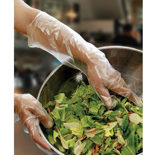 Royal Royal Elbow Disposable Poly Gloves, 21.5 Inch, Box of 100