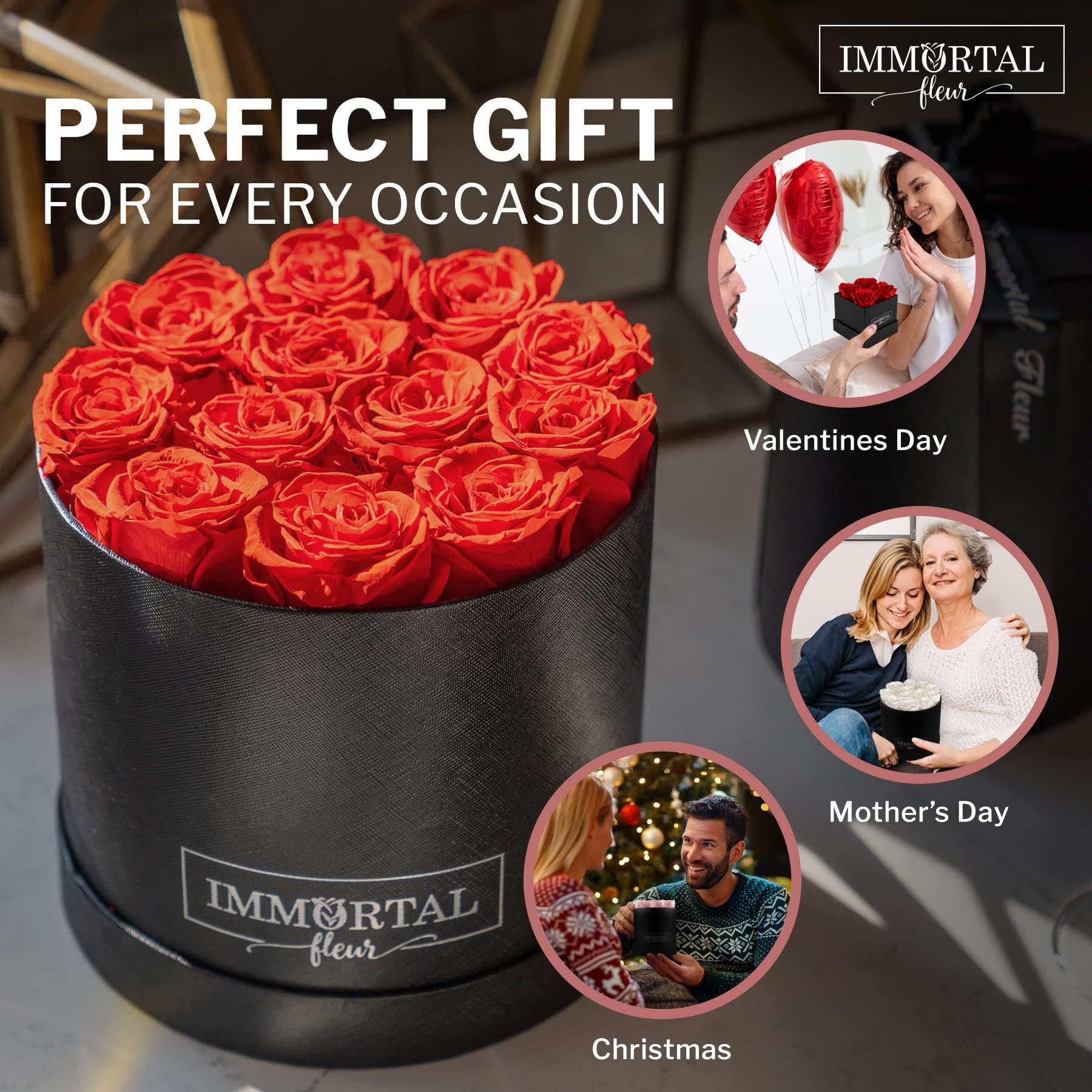 Marde Ross & Company Bush Bean Red Kidney Bean Seeds