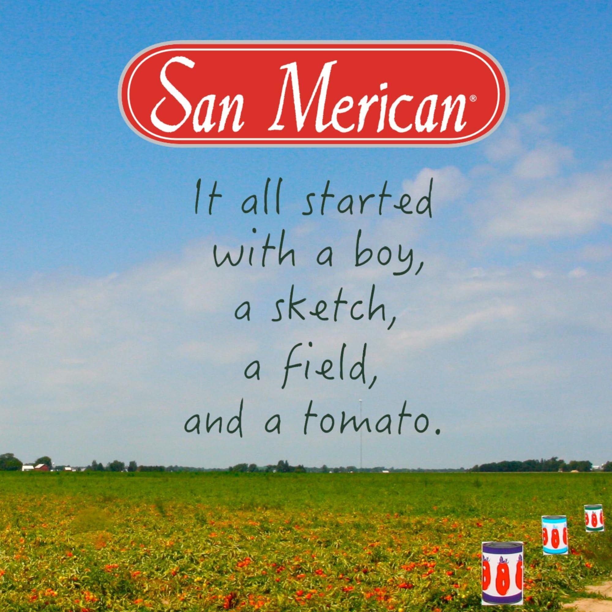 San Marzano SMT San Merican Tomato Marinara Sauce - Marinara Pasta Sauce from Fully Ripened Tomatoes, 23.5 oz (Pack of 2)