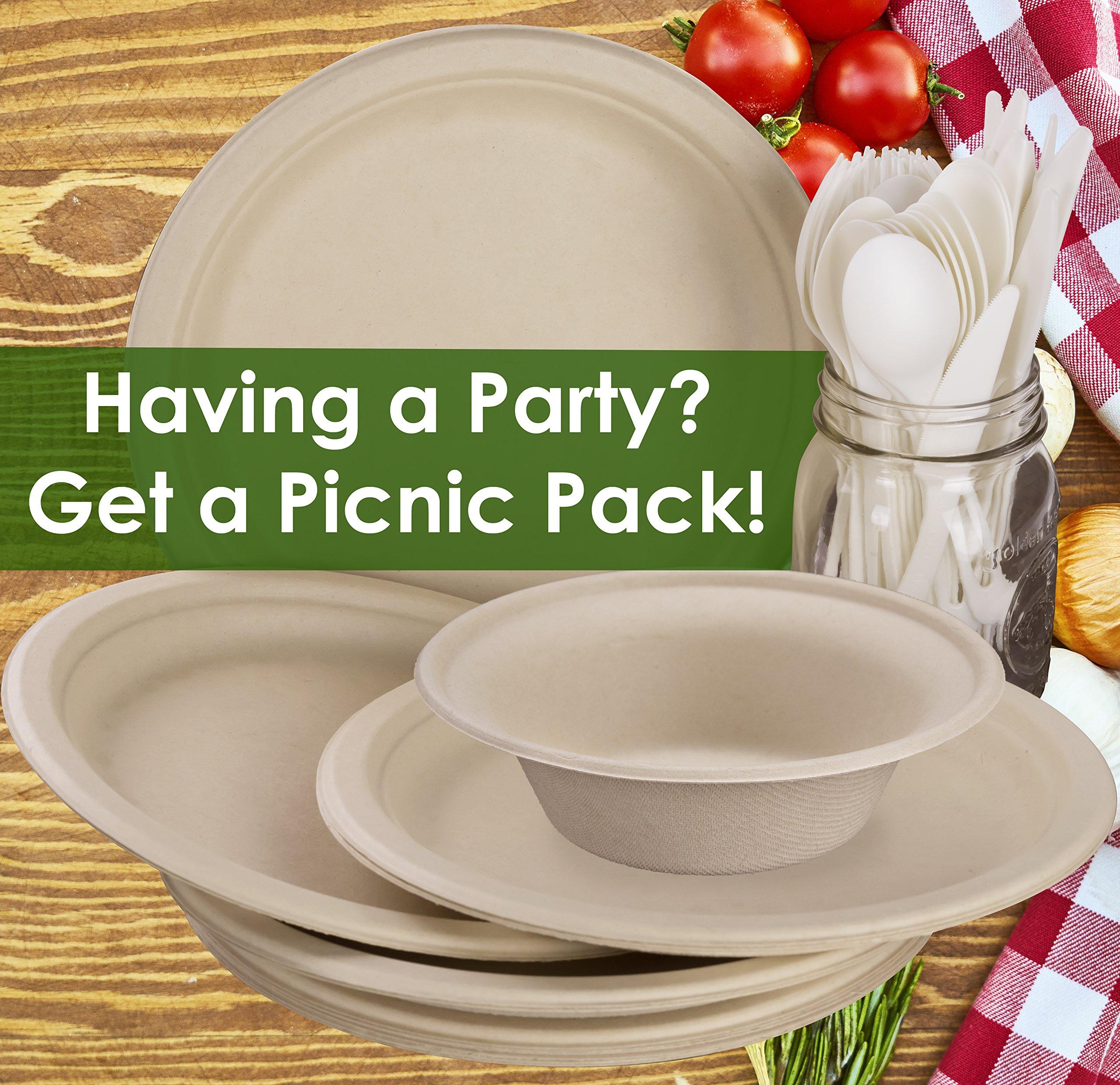 Avant Grub Spoons Made From Non-GMO Plant-Based Plastic 25 Pack. Sturdy Utensils are Certified Compostable, Disposable, Eco-Friendly Cutlery With No Wood Taste. Safe for Hot and Cold Foods!