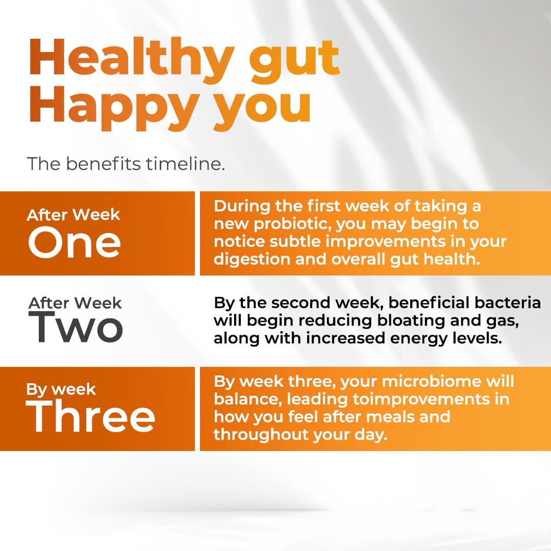 Vitamax Vitamax 60B Probiotic Digestive Gut Health Supplement - Slippery Elm, Coriander, Papaya, Turmeric, Ginger, Psyllium Husk, Licorice, Marshmallow Root - Men & Women - Made in USA (60 Count (Pack of 1)