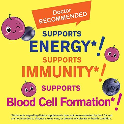 WellYeah WellYeah Iron Gummies for Kids with Vitamin C - Anemia Support, Red Blood Cell Formation, Energy, and Immunity Support Gummy, Iron Supplements for Kids - GMO Free, Natural Grape Flavor - 60 Count
