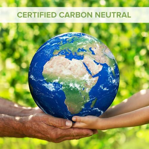 Natural Foundation Supplements Lactobacillus Rhamnosus Probiotic Supplement 240 Tablets 3 Billion CFU Probiotics for Men & Women Supports Intestinal Digestive & Gut Health Made in The USA (240, Lactobacillus Rhamnosus)