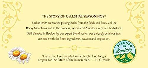 Celestial Seasonings Celestial Seasonings Chamomile Herbal Tea, 20 Count