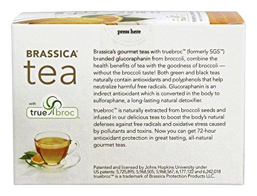 DVSFDSFS Brassica Tea Green Tea with Trubroc, Orange, 16 Tea Bags