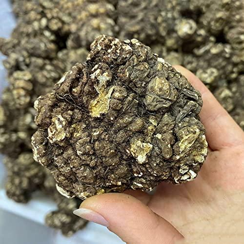 Generic Rhizoma CHUANXIONG Chuanxiong Ligusticum Chuanxiong Hort Traditional Chinese Medicine Chuanqiong Sichuan Dome,chuanxiong Rhizome; Rhizoma Ligustici Wallichi, (1000 Grams /2.20 lbs)
