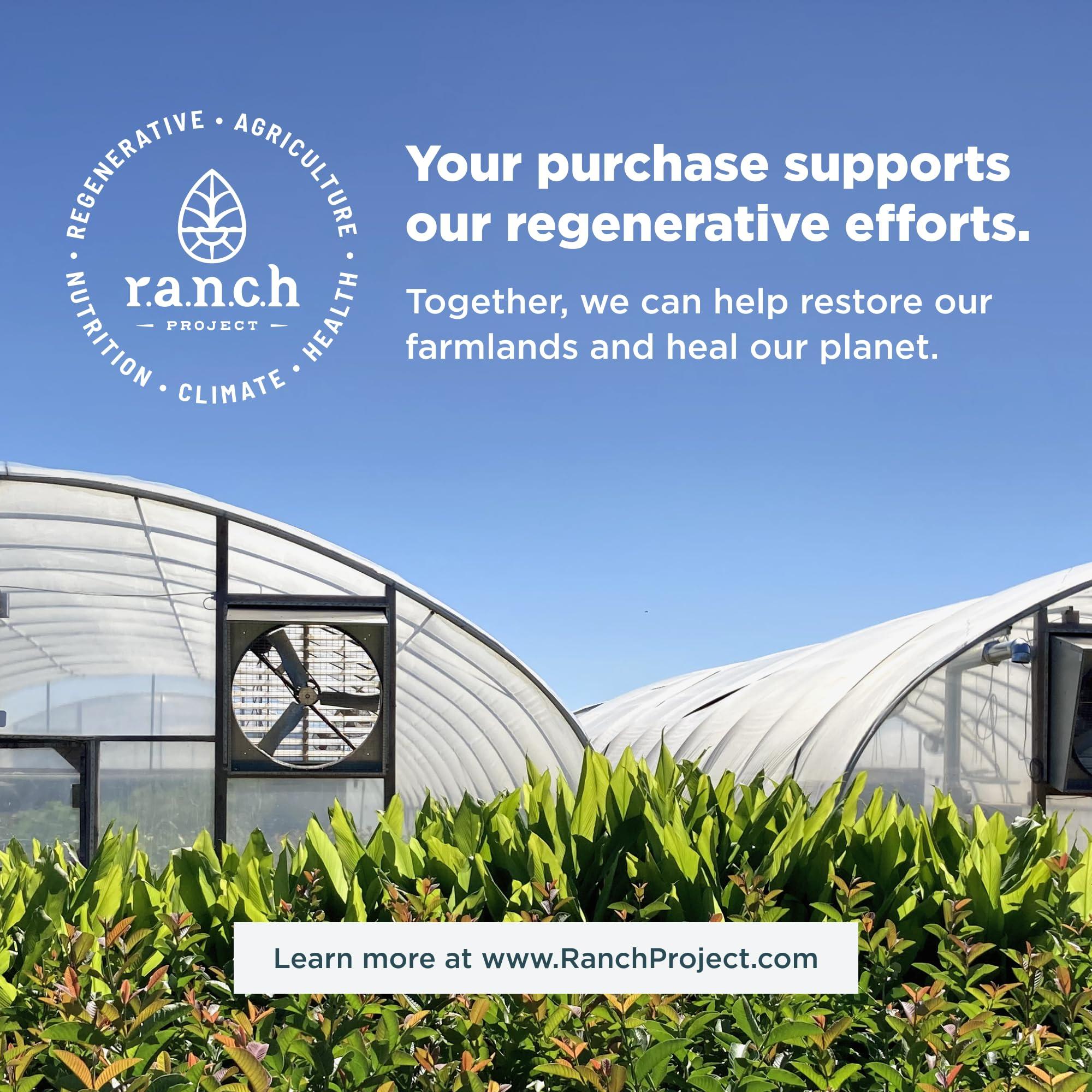 Ancient Nutrition Ancient Nutrition Regenerative Organic Certified Probiotics for Gut Recovery, Probiotics Gut Recovery, for Healthy Digestion and Immune System Function Support, 50 Billion CFUs* Per Serving, 60 Count