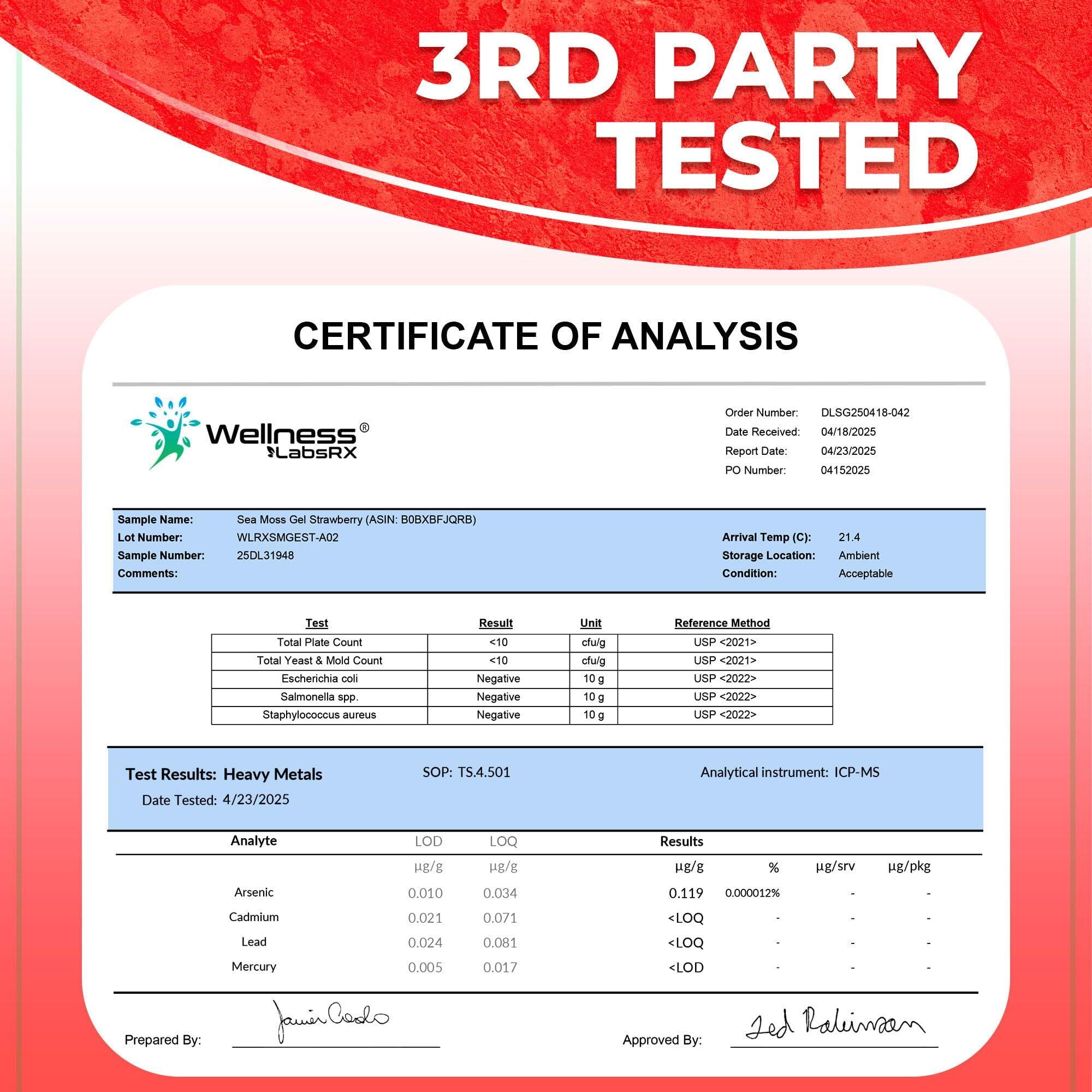WELLNESS LABSRX Irish Sea Moss Gel Organic Raw - Wildcrafted Superfood Seamoss Gel - Strawberry Flavor, Vitamin and Mineral-Rich from Pristine Caribbean Waters, Immune and Digestive Health Support - 10 oz.