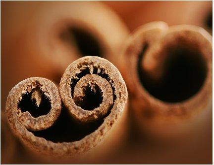 DAVIDsTEA DAVIDs TEA Organic Cinnamon Rooibos Chai Tea