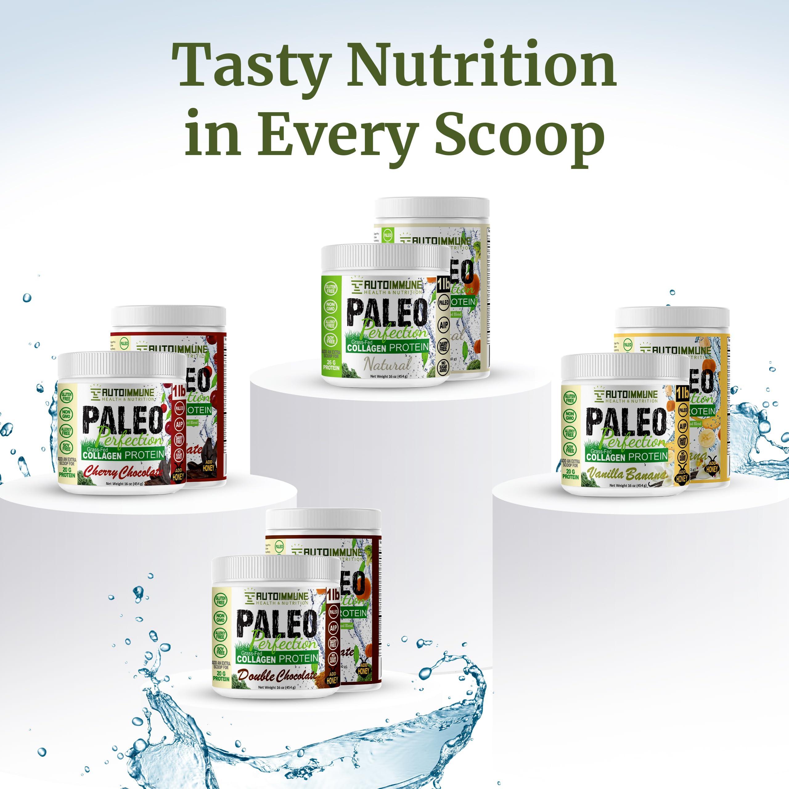 AUTOIMMUNE HEALTH & NUTRITION Paleo Perfection Double Chocolate Grass Fed Beef Collagen Protein Powder without Stevia - Paleo, Keto, SCD, AIP Protein Powder w/ Apple Fiber, Carrot, Broccoli - 300g Protein Powder & Superfood Blend