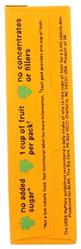 BEAR Bear Yoyo BEAR, Real Fruit Yoyos, 0.7 Oz, No added Sugar, All Natural, non GMO, Gluten Free, Vegan, Healthy on-the-go snack for kids & adults, Mango, 5 Count (Pack of 5)