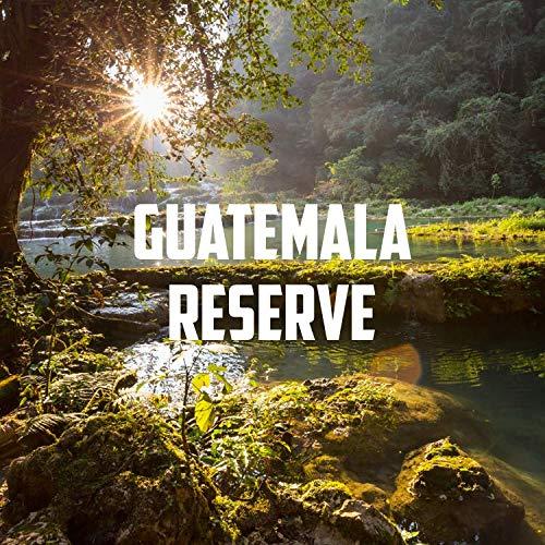 Volcanica Coffee Guatemala Antigua Coffee, Reserve, Ground | Dark Roast, Single Origin, Fresh Roasted 5 lbs