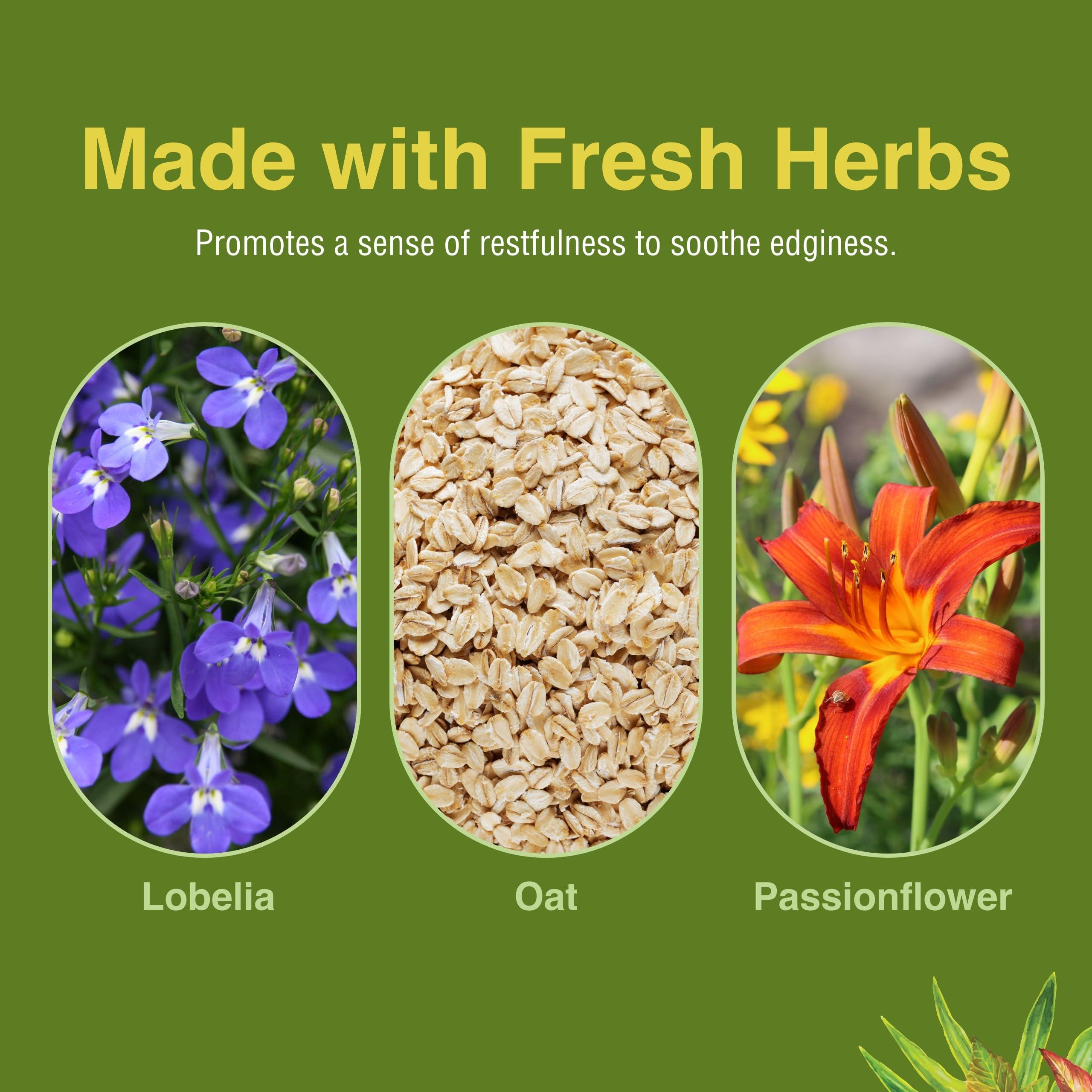 Herbs Etc. Herbs Etc. Smoke Free - Support While Quitting - Healthy Respiratory System Support - Aids Against Edginess & Unpleasant Attitudes - 60 Softgels (60 Servings)