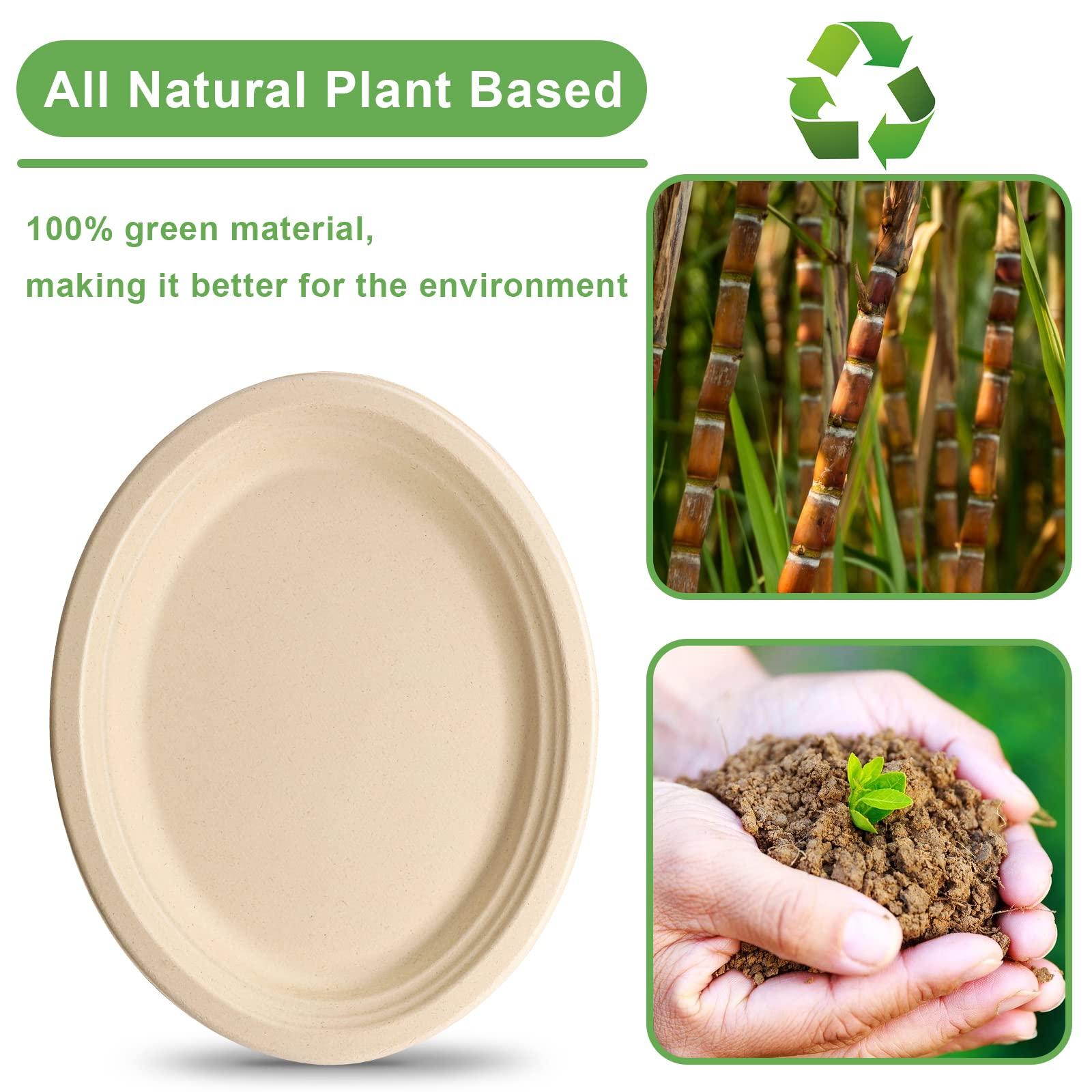 EcoAvance 12 inch Large Paper Plates, 100 Pack Oval Paper Plates, 100% Compostable Recycled Paper Plates, Eco Friendly Disposable Plates, Brown Paper Plates Heavy Duty, Paper Dinner Plates