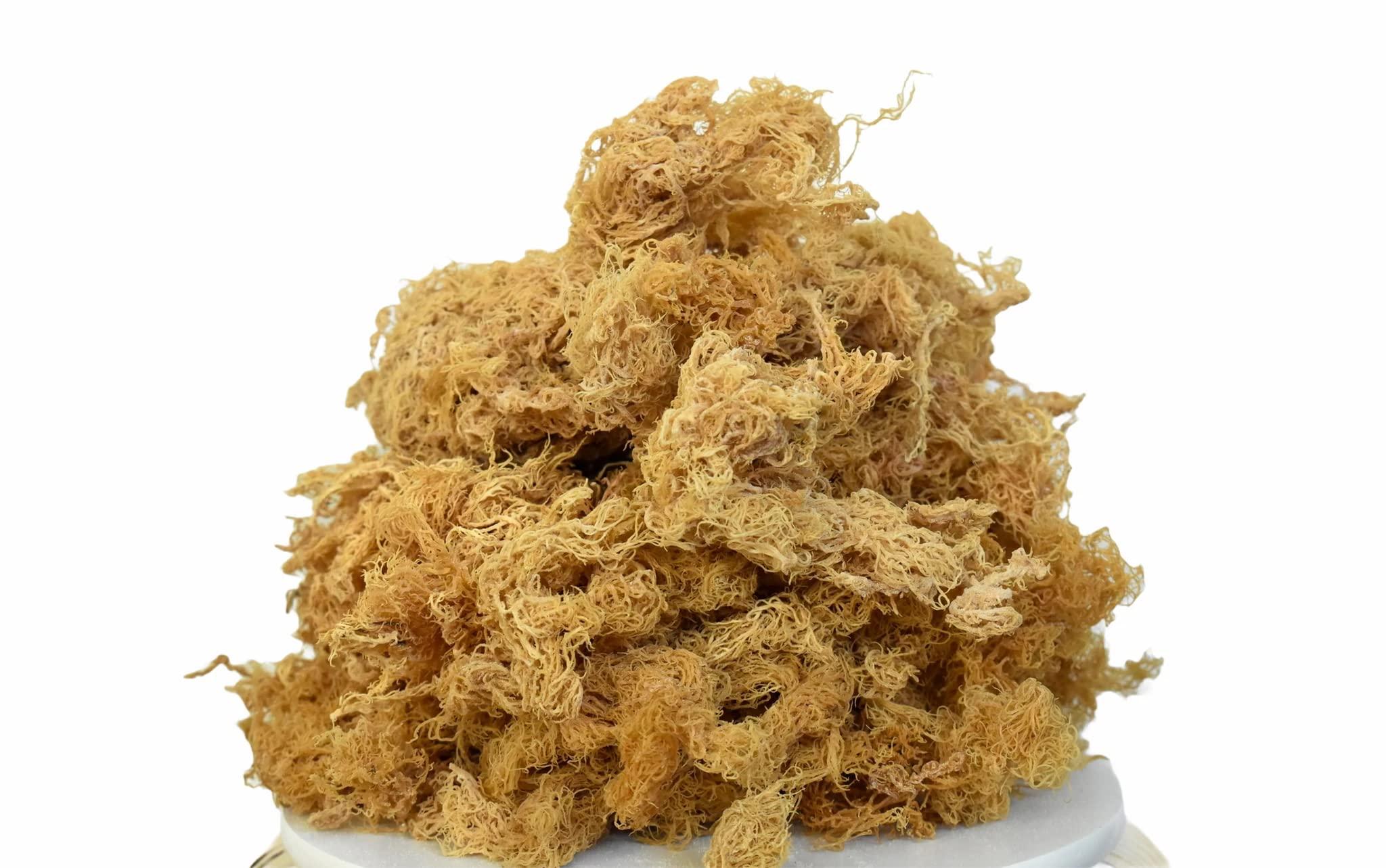 Seamoss Kulture Organic Sea Moss Raw - Wild Crafted Seamoss Raw - 100% Organic Irish Sea Moss Raw - Dried Sea Moss Advanced Drink - Clean and Sundried - Vegan Sea Moss (1Pound) (16oz)