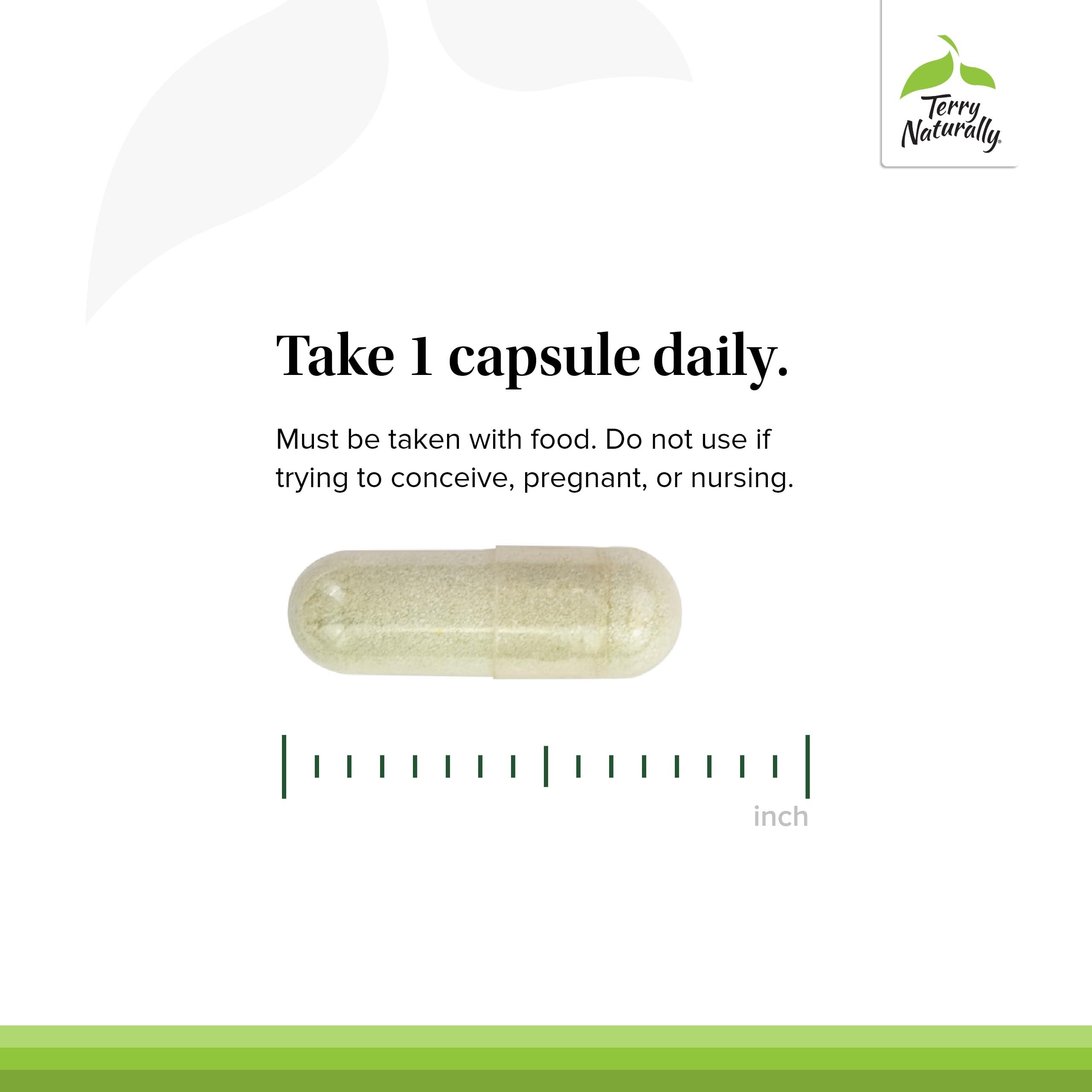 Terry Naturally Terry Naturally Tri-Iodine - Dietary Supplement for Breast & Prostate Health Support - Healthy Thyroid Function Supplement Aid - 3 mg, 90 Capsules, 2 Pack