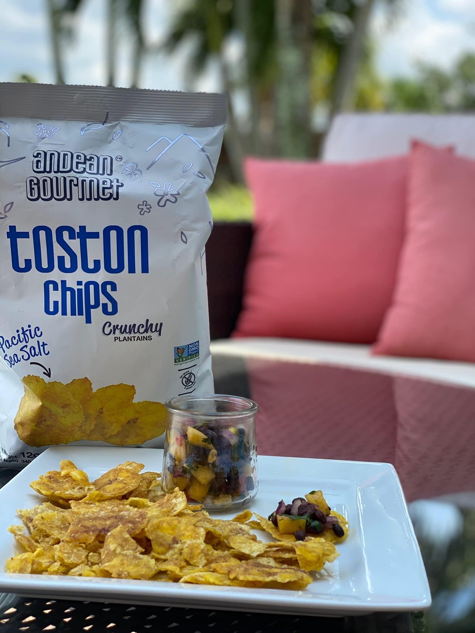 Andean Gourmet ANDEAN GOURMET Toston Chips 10oz (Pack of 3) Variety (Pacific Sea Salt, Garlic and Lime) - Gluten Free, All Natural, NON-GMO and Kosher - Plantain Dipping Chip