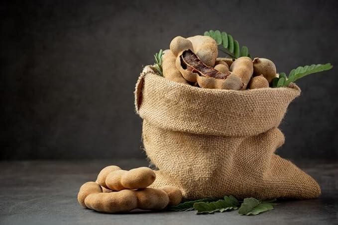 india Tamarind Powder Dried Pure and Tangy Natural Fruit Powder for Cooking, Seasoning, and Sauces, Adds a Zesty Twist to Recipes, Enhance Your Culinary Delights -100 gm