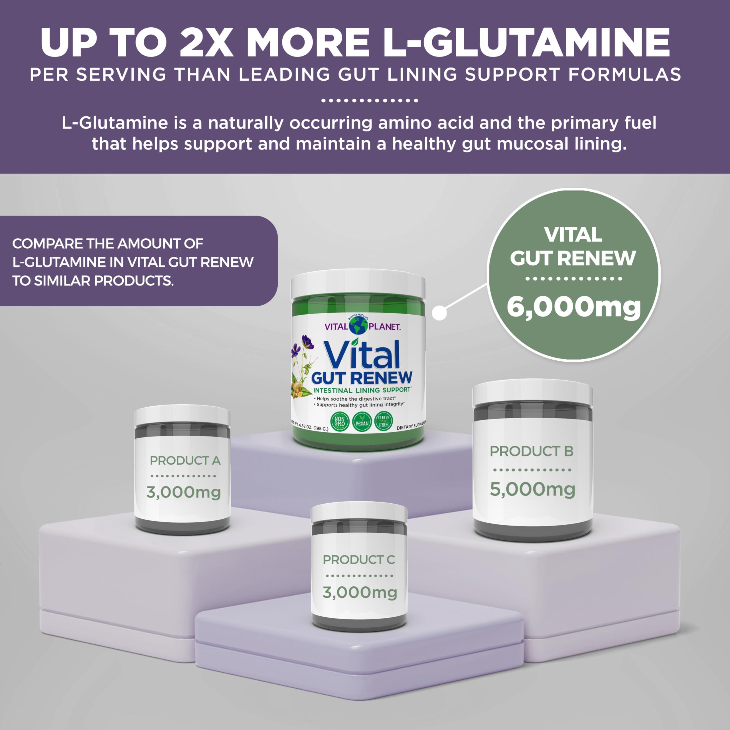 Vital Planet Vital Planet - Vital Gut Renew Powder Supplement for Leaky Gut Repair with L-Glutamine, Marshmallow and Ginger Root, DGL Licorice Root and Organic Aloe Vera, L Glutamine 6000mg 6.88 oz