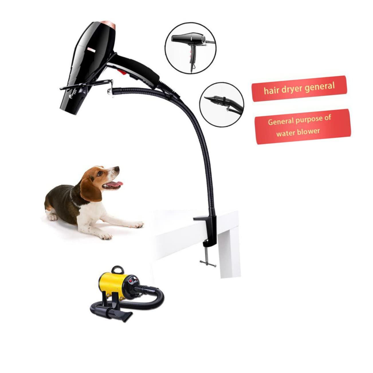 Orgain Orgain Sweet Vanilla Bean, Vegan 11 Fl Oz (Pack of 12)