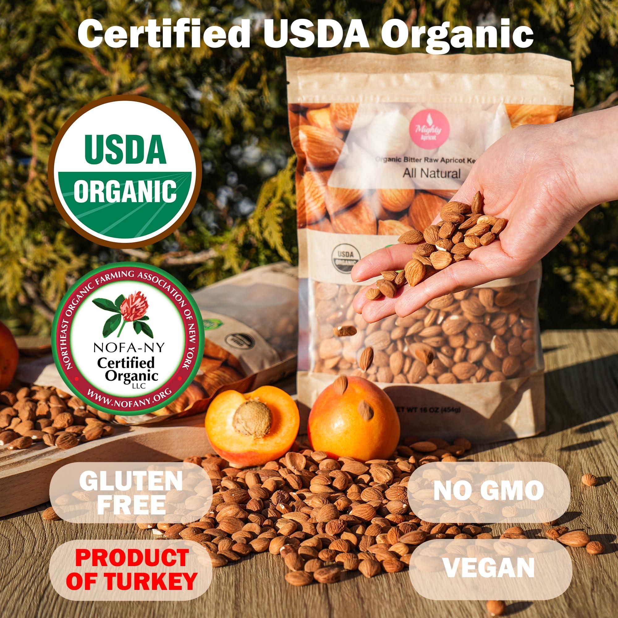 Mighty Apricot Mighty Apricot USDA Organic Bitter Apricot Kernels(1LB) 16oz, Natural Raw Bitter Apricot Seeds, Vegan, Non-GMO, Gluten Free, Great source of Vitamin B17 and B15