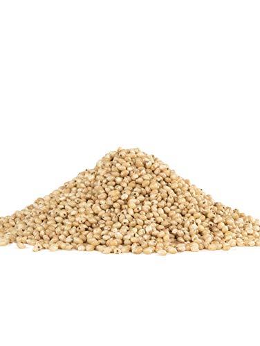 Bob's Red Mill Bob's Red Mill Sweet White Sorghum Grain, Gluten Free, 24 oz