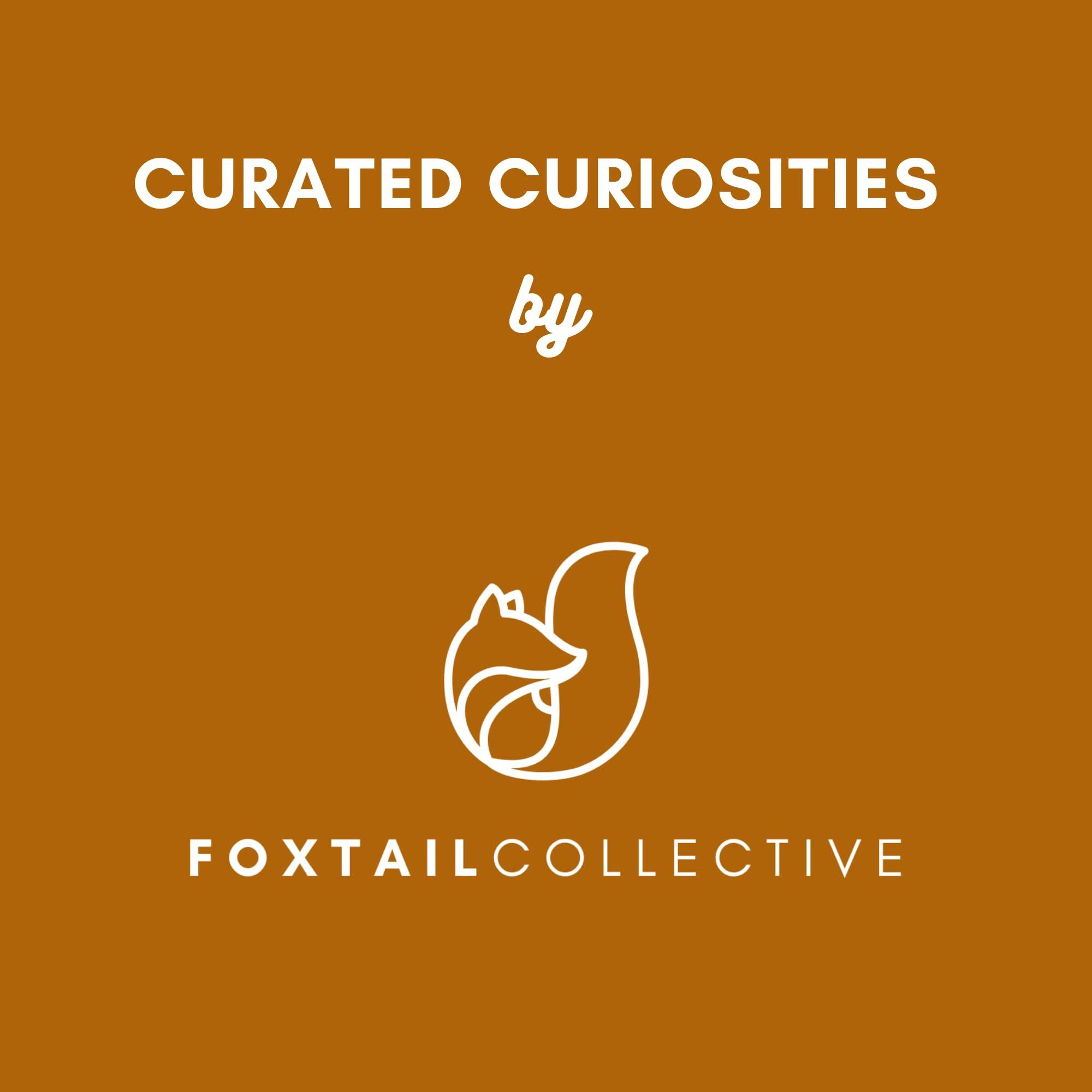 Foxtail Collective Savory Choice Chicken Broth Concentrate Reduced Sodium Packets (30 packs) Bundled with Chicken Stock Concentrate Packets Caddy and 9 Recipes by Foxtail Collective, Convenient, Gluten-Free, Dairy-Free