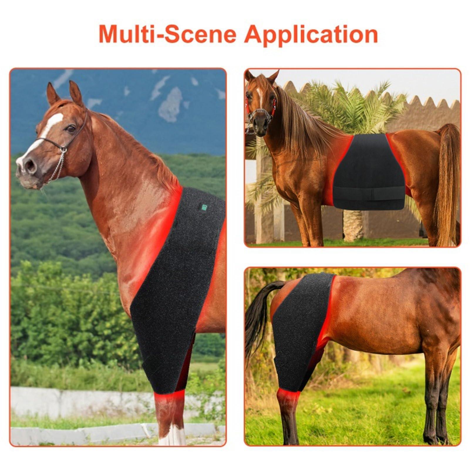 Aniwini Horse Use Red Light Therapy Pad 660nm 850nm Red Infrared Belt for Horse Buttocks, Abdomen, Back, Front Legs and Hind Legs Muscle Recovery