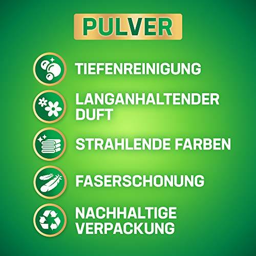 Persil Persil Laundry Detergent Universal Mega Pack (100 Loads / 6.5 Kg)