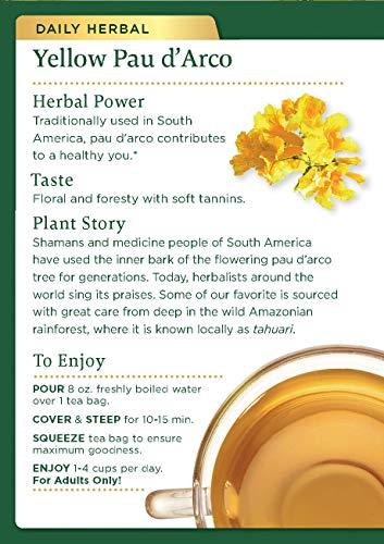 Traditional Medicinals Traditional Medicinal's Pau D'arco Herb Tea ( 6x16 BAG)