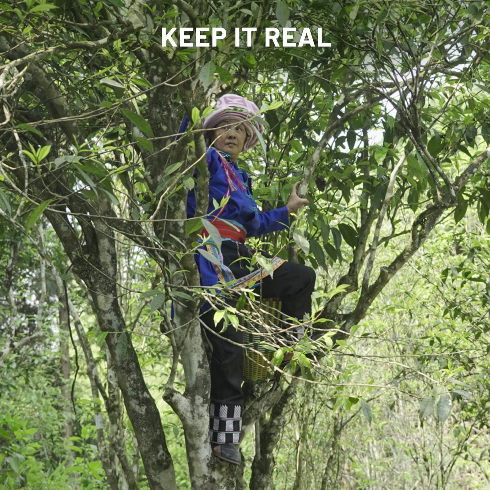 ITEAWORLD iTeaworld Oolong Tea Set 4 Flavors, Oolong Tea Sampler Loose Leaf, Flowery Aroma, No Sweetener, High to Low Caffeine, Up to 112 Cups, Whole Leaf