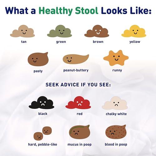 Enfamil Enfamil Reguline Baby Formula, Milk-Based Infant Nutrition, Dual Prebiotics for Soft, Comfortable Stools within 1 Week of Use, Omega-3 DHA for Immune Support, Reusable Powder Tub, 19.5 Oz