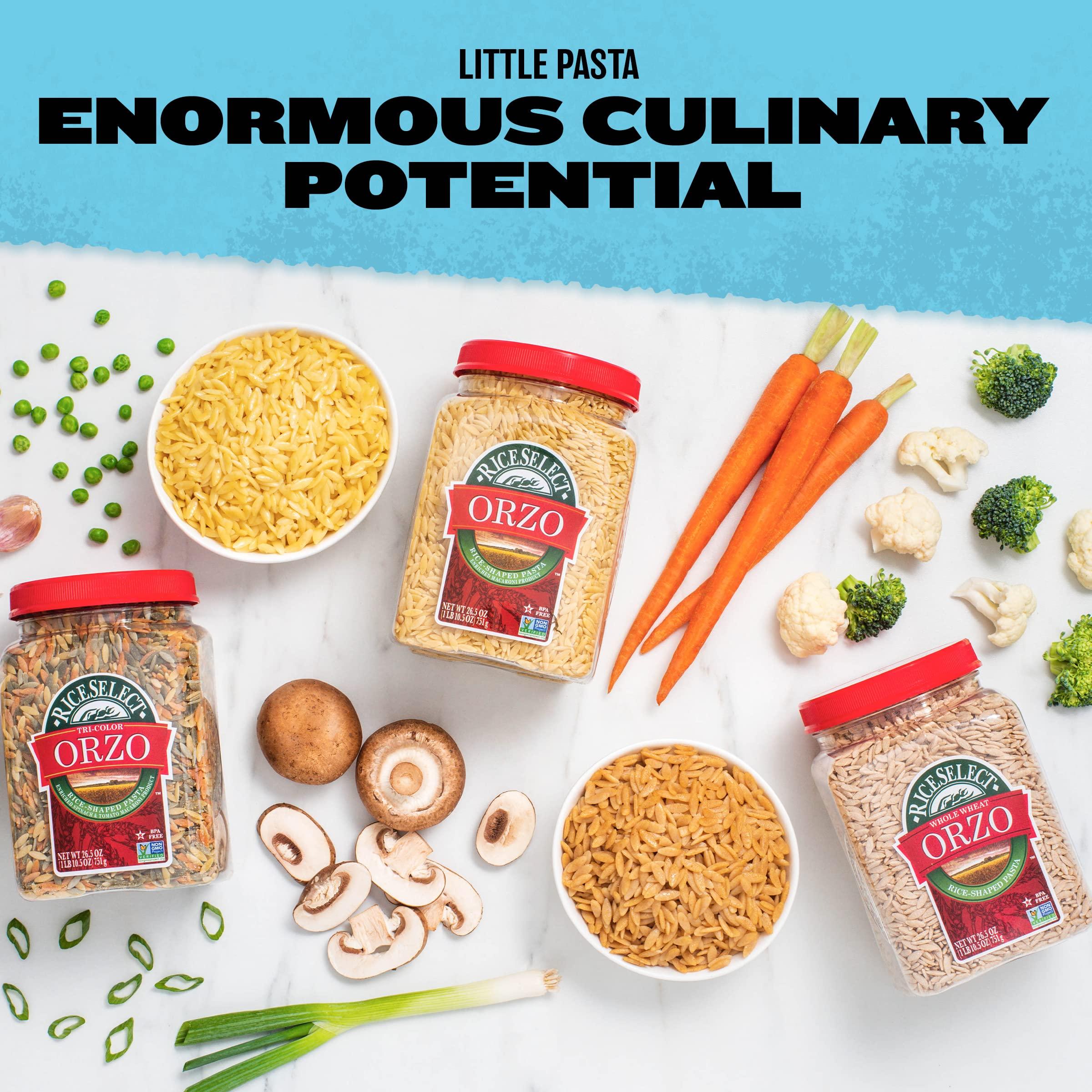 RiceSelect RiceSelect Orzo Rice-Shaped Pasta, Premium Non-GMO Orzo Pasta, 26.5-Ounce Jar