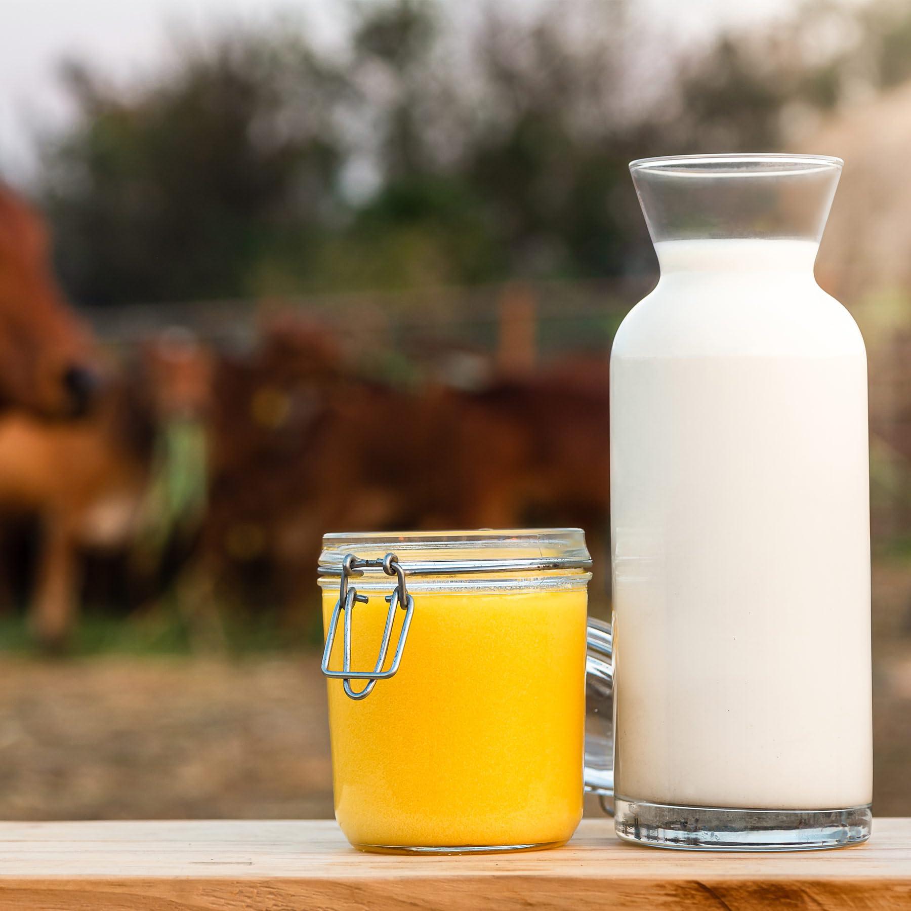 AMOREARTH - NATURAL.HEALTHY.FRESH Two Brothers Organic Farms - Grass Fed A2 Ghee 16 Fl Oz (500ml) | Clarified Butter | Cultured, Desi Gir Cow Ghee | Pasture Raised on Certified Organic Farm | Non-GMO, Lactose-Free, Keto Friendly | Made from Whole Curds in Small Batches | Glass Jar