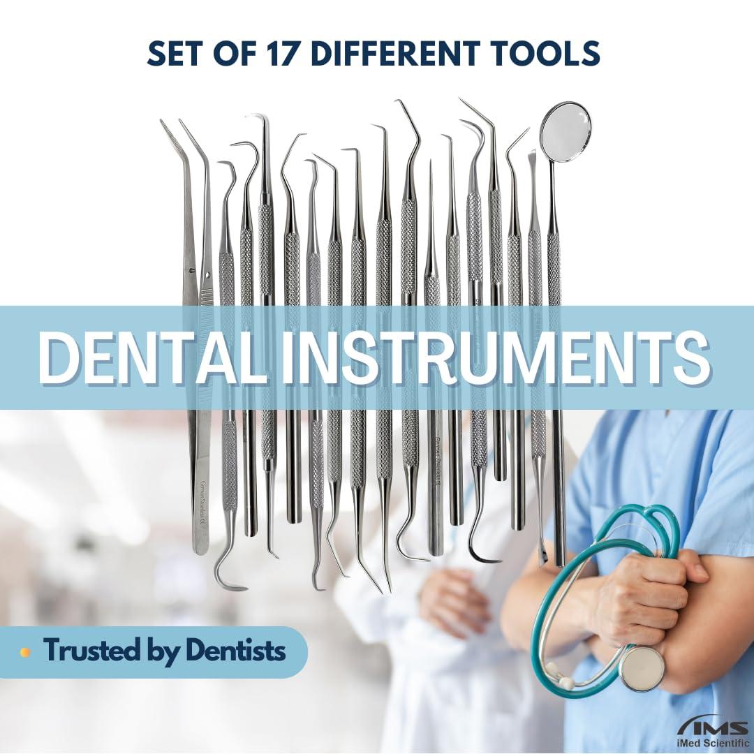 IMED SCIENTIFIC Professional Dental Tartar Scraper Tool Oral Picks to Remove Calculus from Teeth, Plaque Remover, Tooth Scraper for Oral Hygiene Care Made of Stainless Steel (17 Pcs Set)